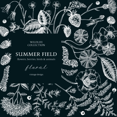 Summer background in color. Floral frame design in sketch style. Botanical drawings of wildflowers, herbs, meadows, berries. Vintage field of flowers hand-drawn illustrations for wedding invitation.